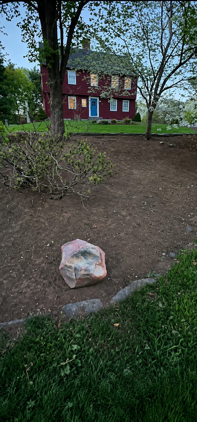 After - island cleared, weeds removed, clean landscaping